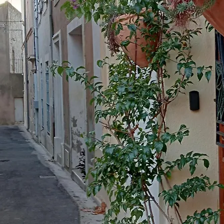 Maison De Caractere Au Coeur Des Vignes Et Du Canal Du Midi Holiday home